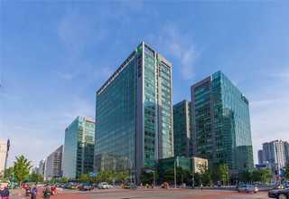 襄垣九华黄精茶